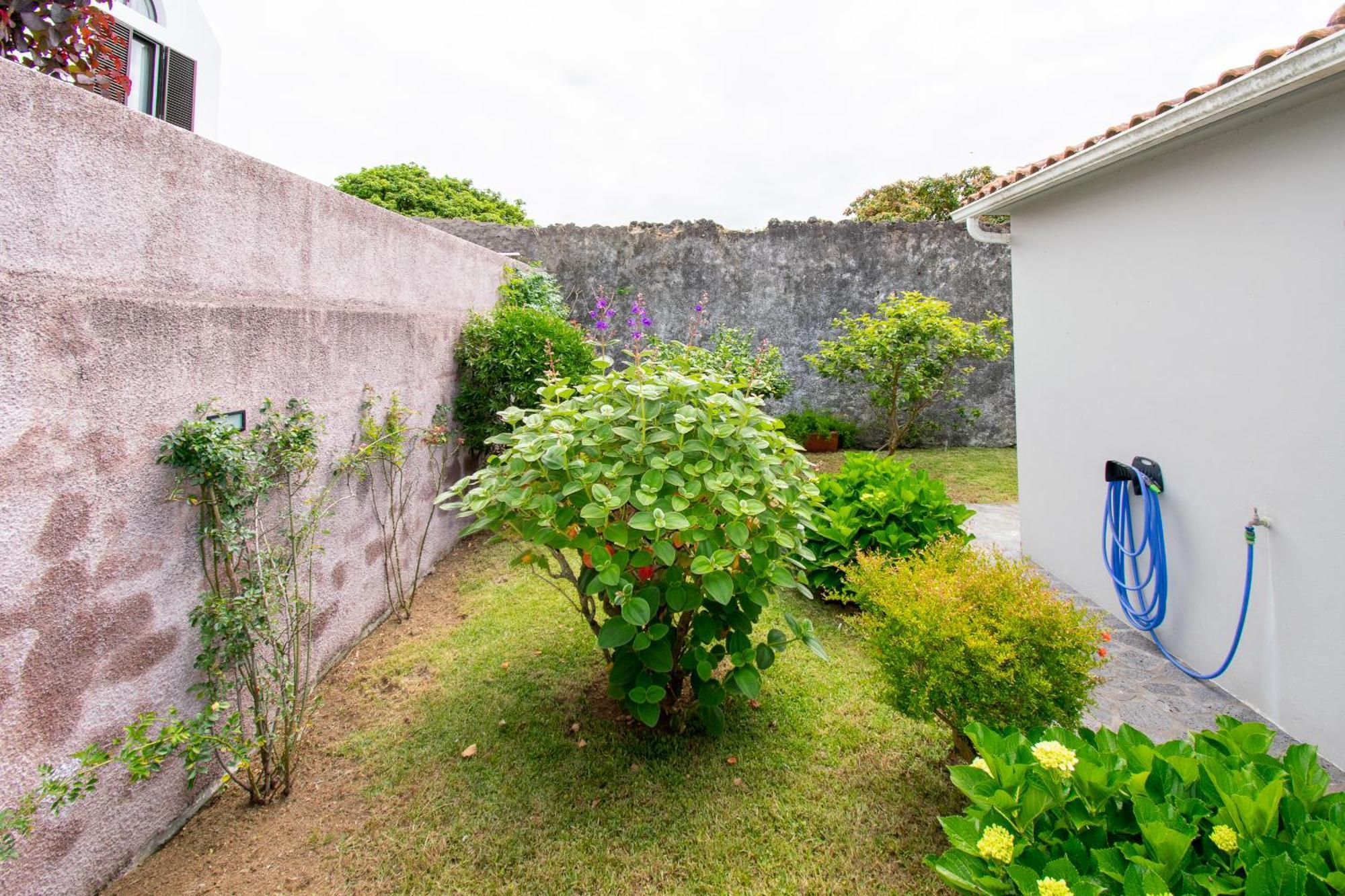 Atlantic Sao Paulo - Nature In The City Πόντα Ντελγκάντα Εξωτερικό φωτογραφία
